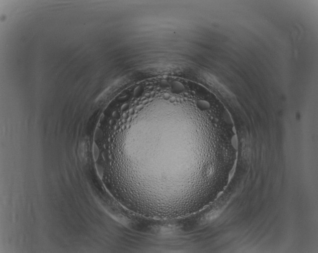 X0000073930165200608181123