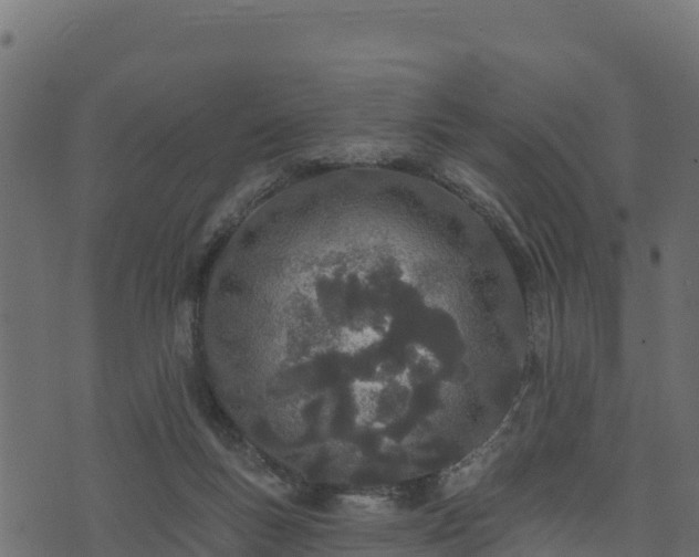 X0000073930167200608181123