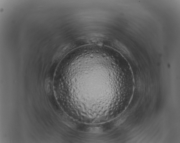 X0000073930169200608181123