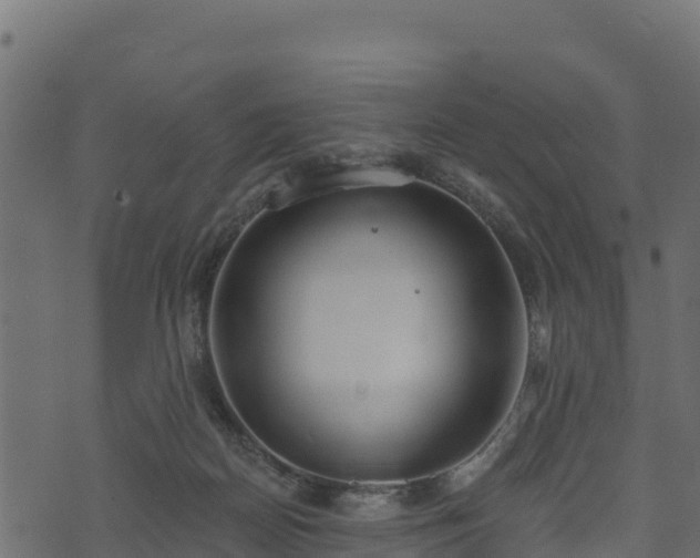 X0000073930170200608181123