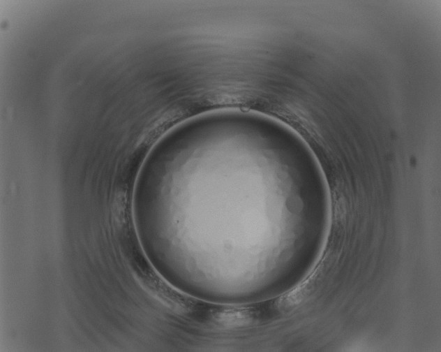 X0000073930171200608181123