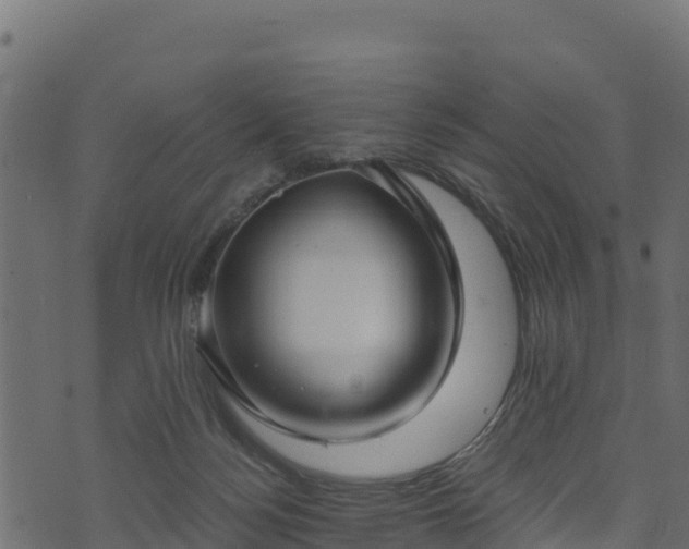 X0000073930172200608181123