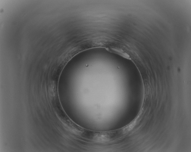 X0000073930174200608181123