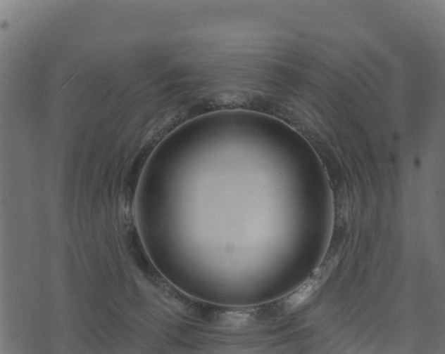 X0000073930176200608181123