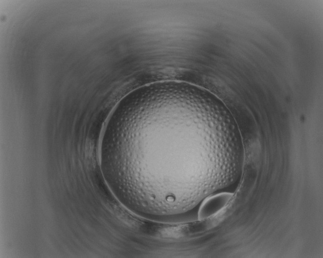 X0000073930178200608181123