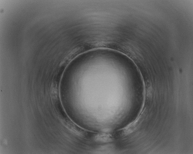 X0000073930179200608181123