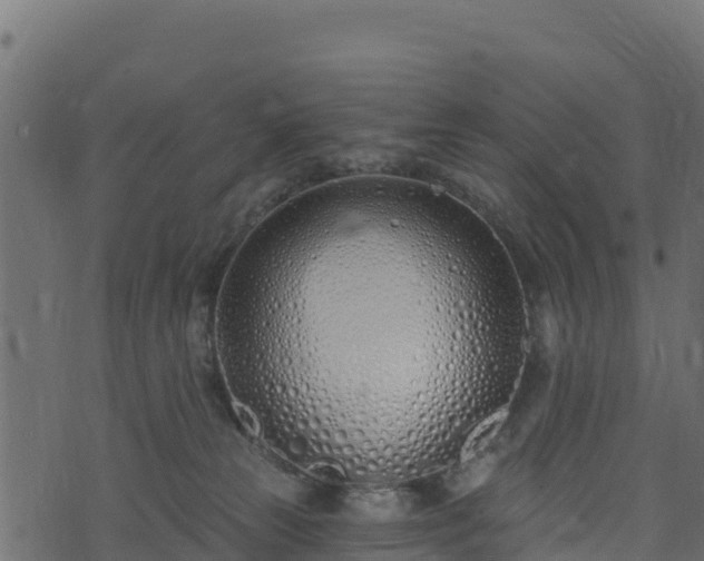 X0000073930181200608181123