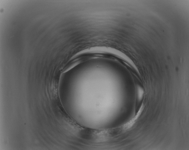 X0000073930186200608181124