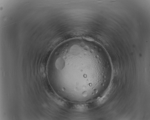 X0000073930187200608181124