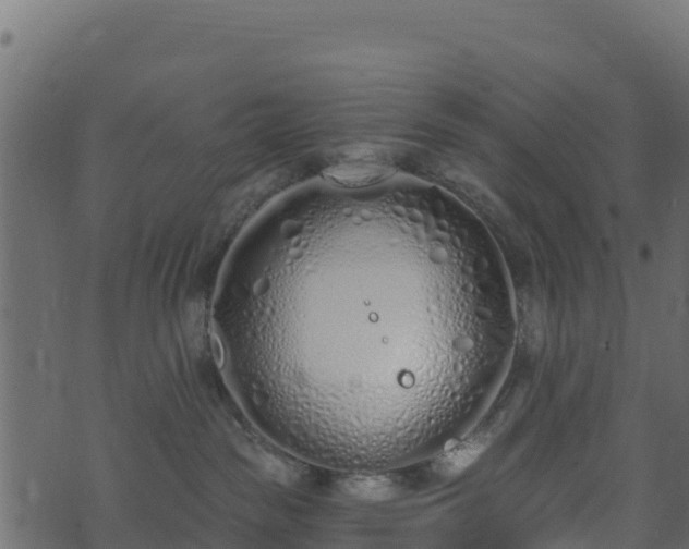 X0000073930189200608181124