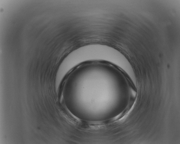 X0000073930190200608181124