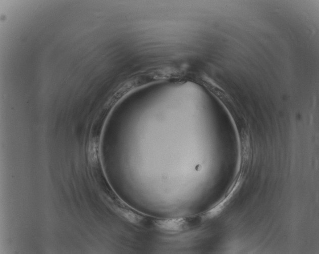 X0000073930191200608181124