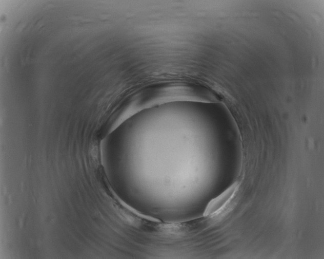 X0000073930192200608181124