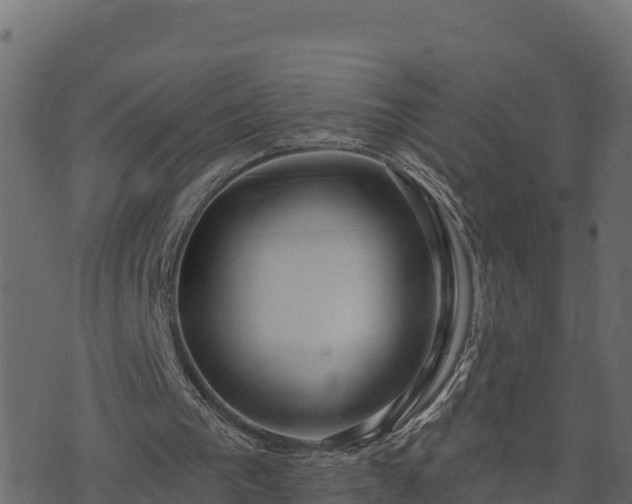 X0000073930193200608181123