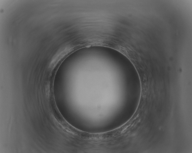 X0000073930194200608181123