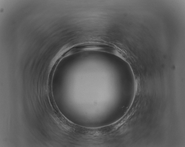 X0000073930195200608181123