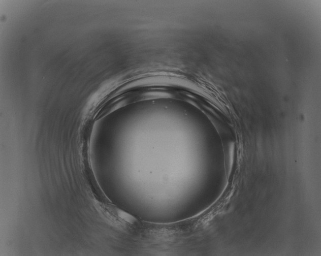 X0000073930197200608181123