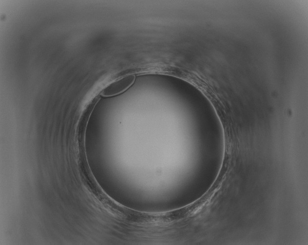 X0000073930198200608181123