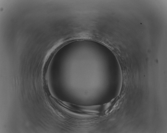 X0000073930200200608181123