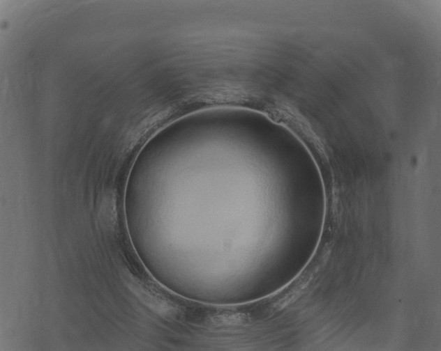 X0000073930202200608181123