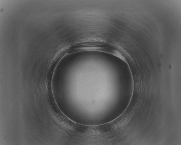 X0000073930207200608181123