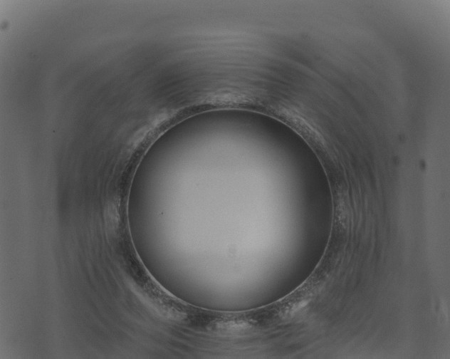 X0000073930208200608181123