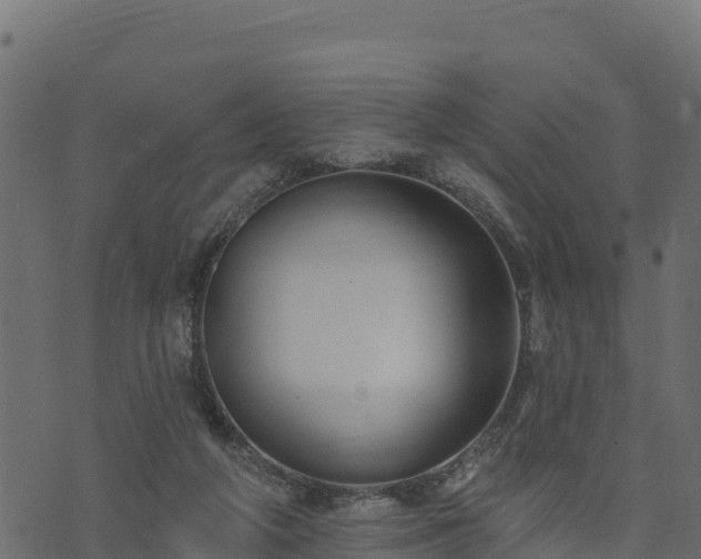 X0000073930210200608181123