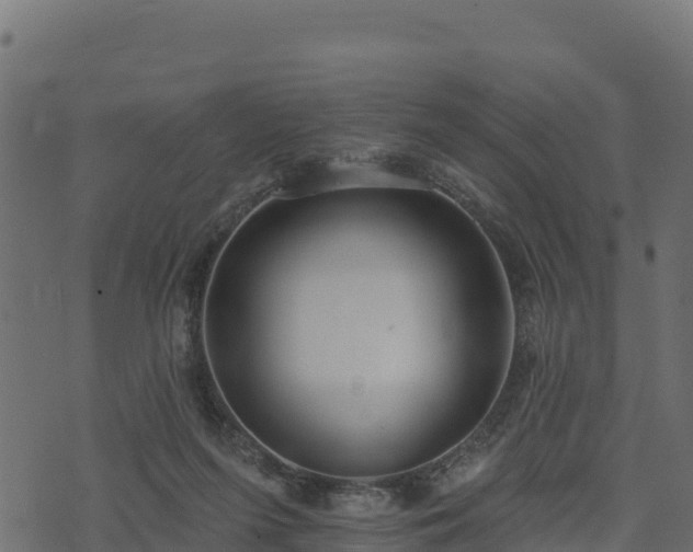 X0000073930215200608181122