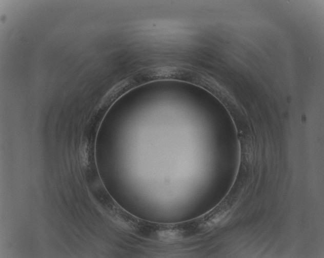 X0000073930216200608181122