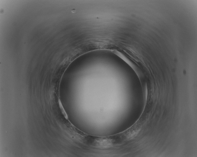 X0000073930221200608181122