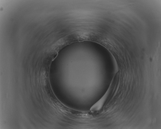 X0000073930223200608181122