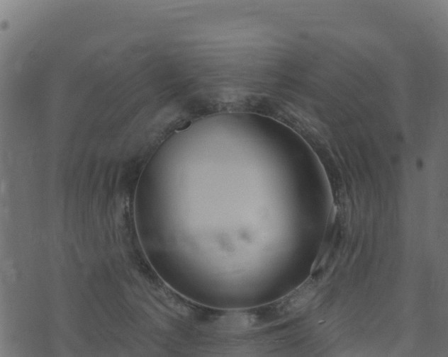 X0000073930225200608181122