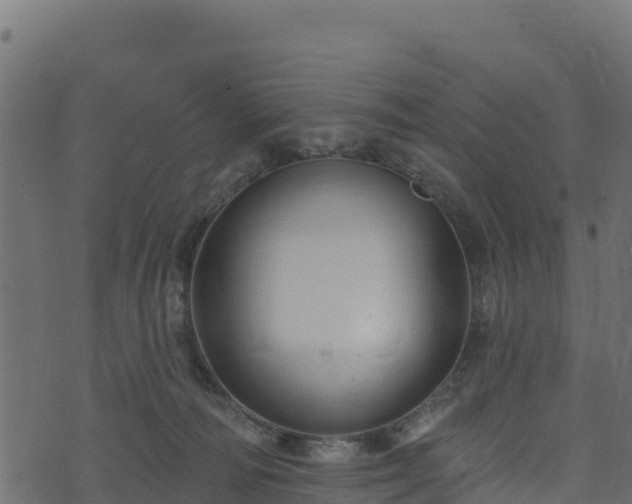 X0000073930226200608181122