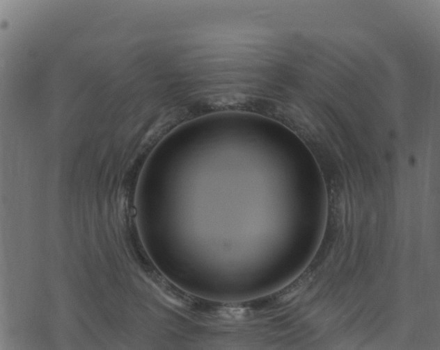 X0000073930227200608181122