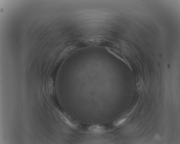 X0000073930231200608181122