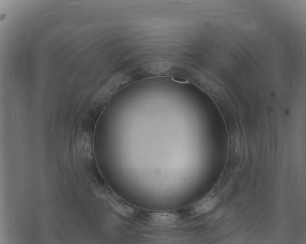 X0000073930234200608181122