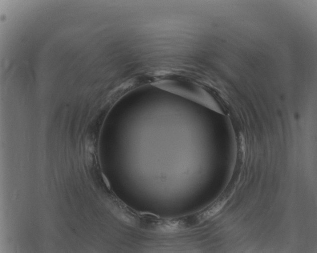 X0000073930235200608181122