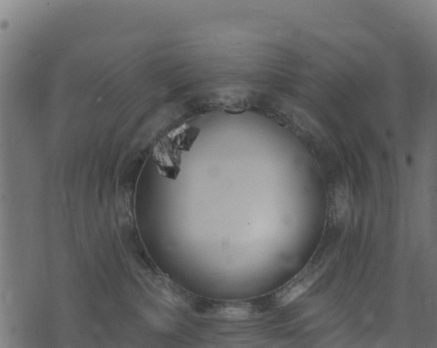 X0000073930236200608181122