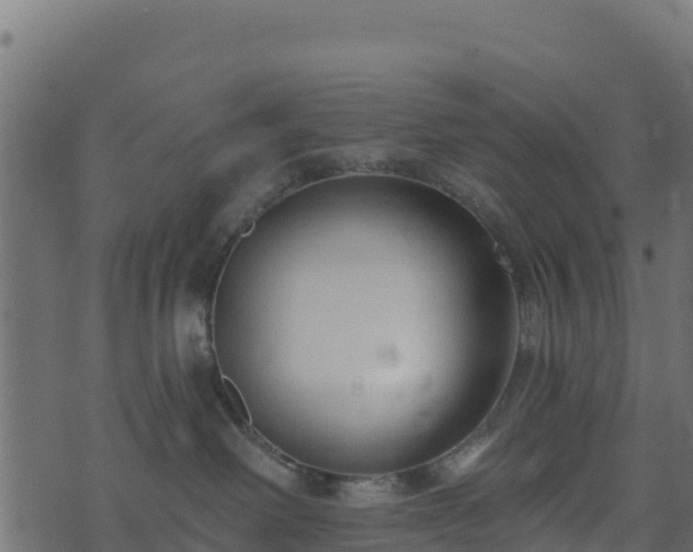 X0000073930238200608181122