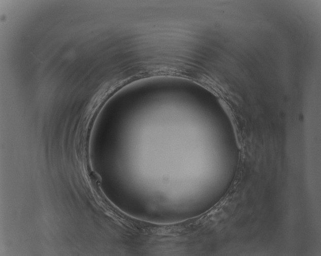 X0000073930241200608181121