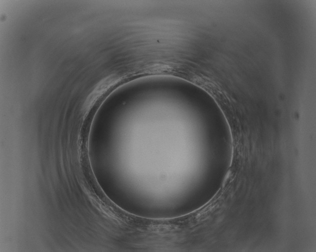 X0000073930242200608181121