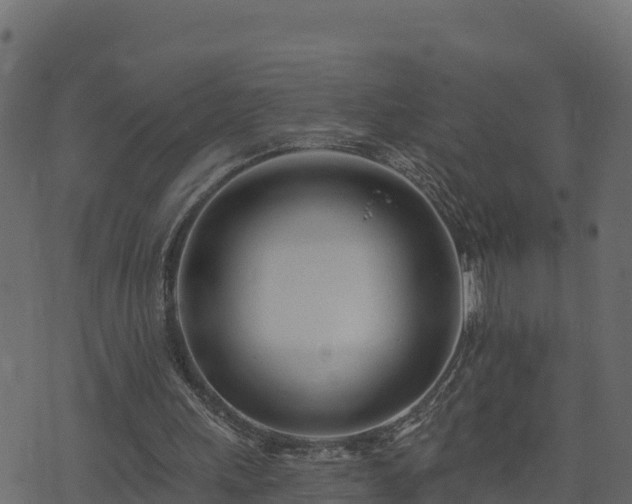 X0000073930243200608181121