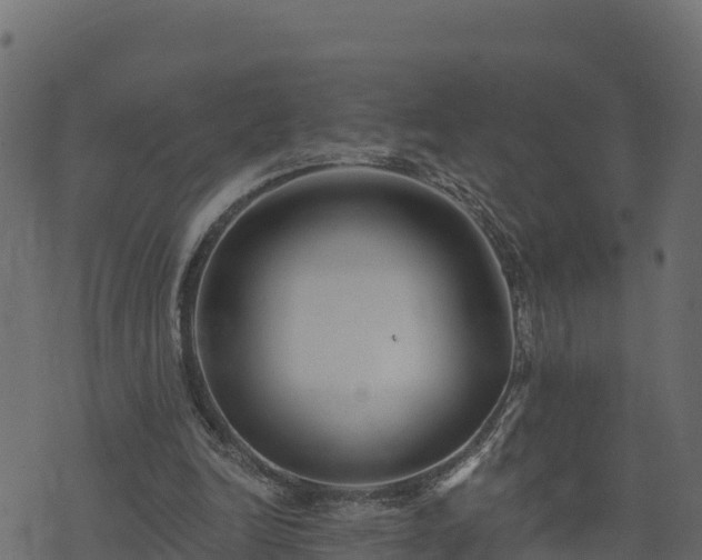 X0000073930246200608181121