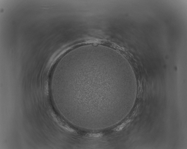 X0000073930247200608181121