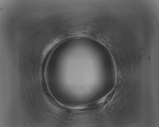 X0000073930248200608181121