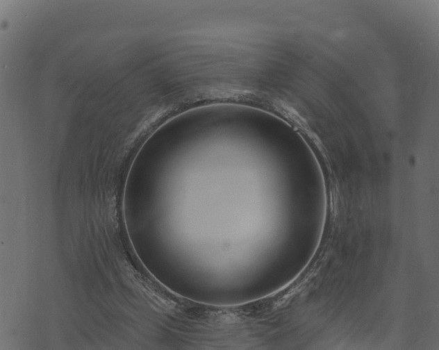 X0000073930249200608181121