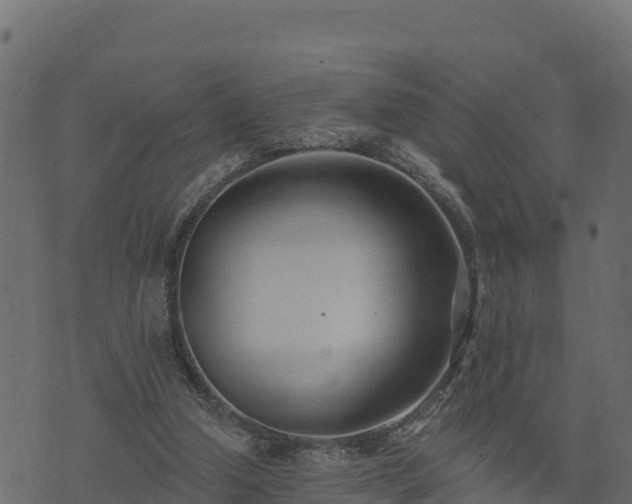 X0000073930250200608181121