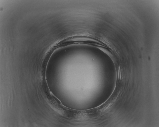 X0000073930252200608181121