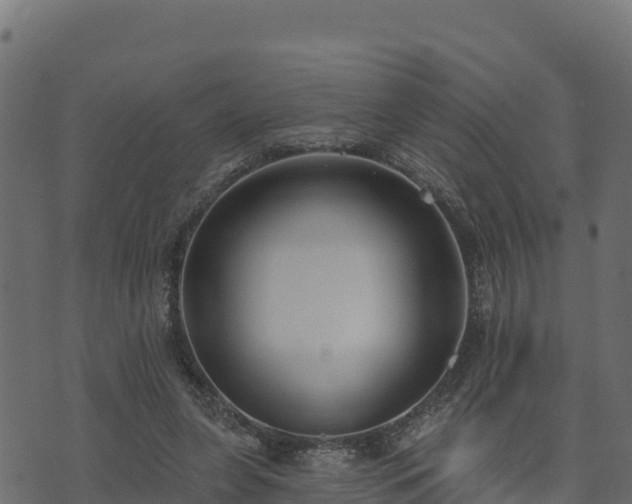 X0000073930255200608181122