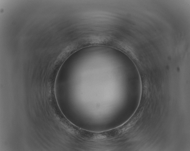 X0000073930257200608181122